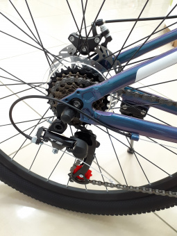 VARMA Леди  Lady 26" фото