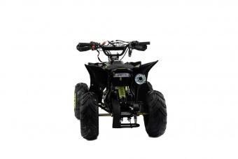 Raptor 110 фото