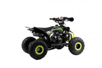 Raptor 110 фото