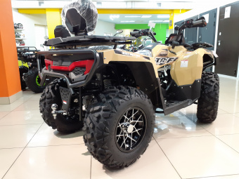 IRBIS TA-F300 EFI фото